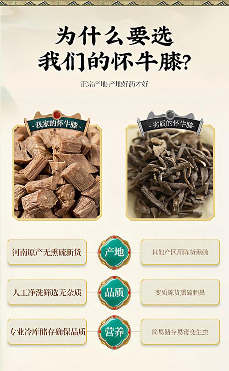 药品零售行业动态:变革与机遇